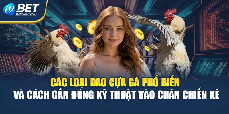 Các loại dao cựa gà phổ biến và cách gắn đúng kỹ thuật vào chân chiến kê