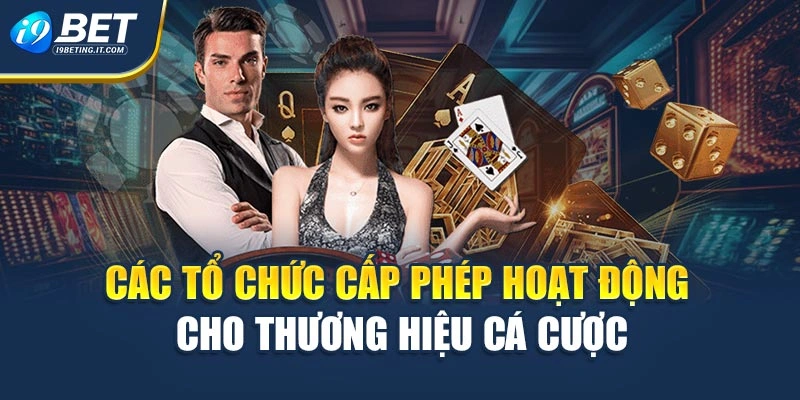 Các tổ chức cấp phép hoạt động cho thương hiệu cá cược