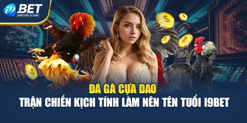 Đá Gà Cựa Dao - Trận Chiến Kịch Tính Làm Nên Tên Tuổi i9Bet