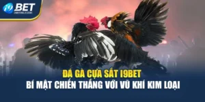 Đá Gà Cựa Sắt i9Bet - Bí Mật Chiến Thắng Với Vũ Khí Kim Loại