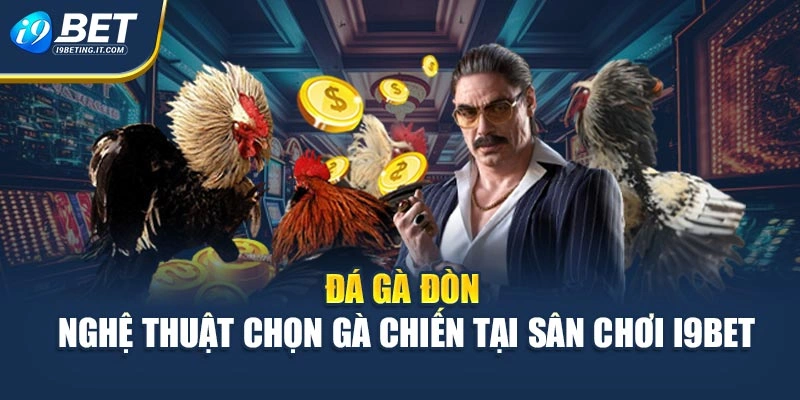 Đá Gà Đòn - Nghệ Thuật Chọn Gà Chiến Tại Sân Chơi i9Bet