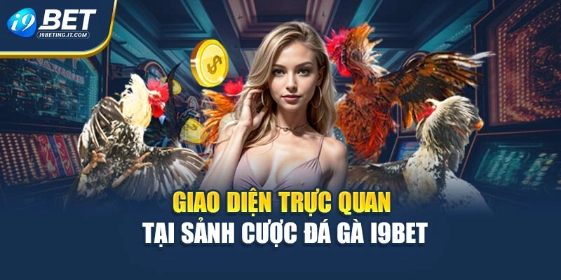 Giao diện trực quan tại sảnh cược đá gà i9Bet
