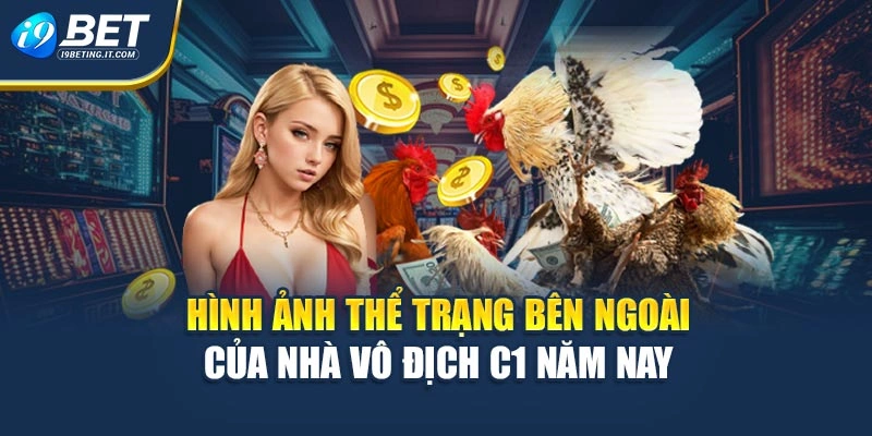 Hình ảnh thể trạng bên ngoài của nhà vô địch C1 năm nay