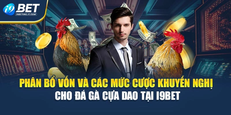 Phân bổ vốn và các mức cược khuyến nghị cho đá gà cựa dao tại i9Bet