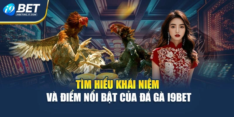 Tìm hiểu khái niệm và điểm nổi bật của đá gà i9bet